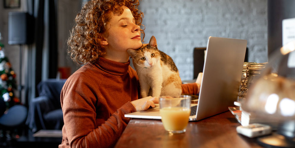 hoeveel lenen als alleenstaande